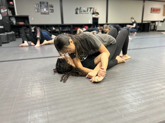 Elite Martial Arts Picture 9