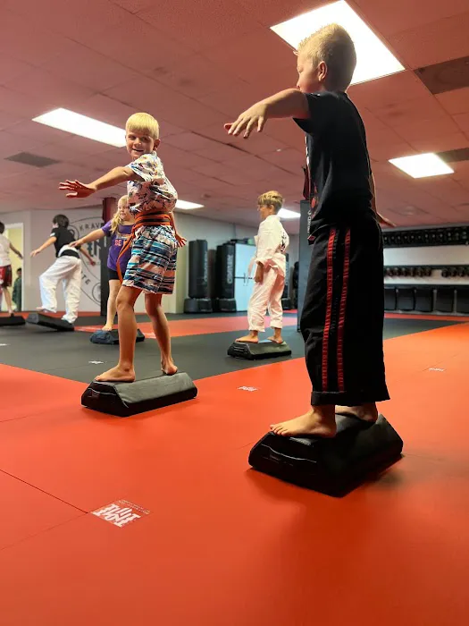 Impact Martial Arts Gallatin Picture 1