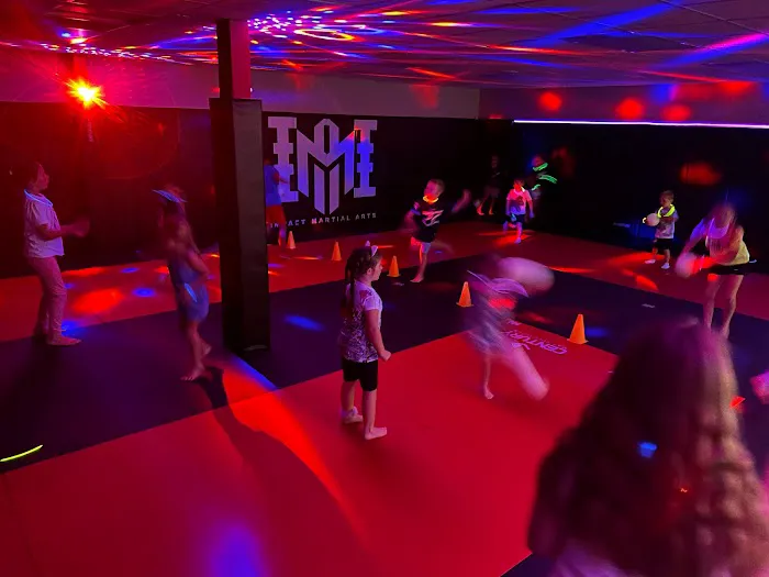 Impact Martial Arts Gallatin Picture 3