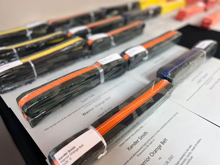 Impact Martial Arts Gallatin Picture 4