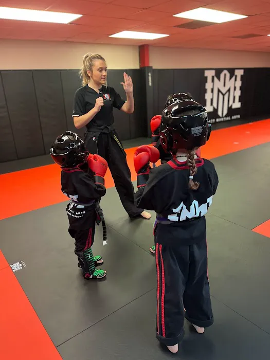 Impact Martial Arts Gallatin Picture 2