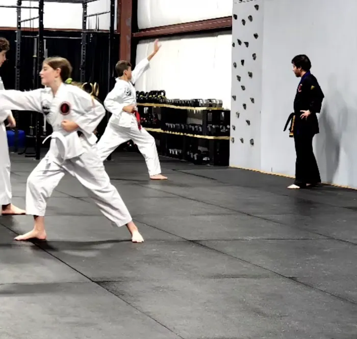 Spartan Martial Arts Picture 1