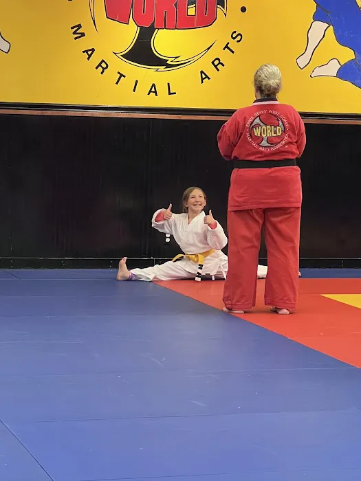 Ernie Reyes' World Martial Arts Picture 3