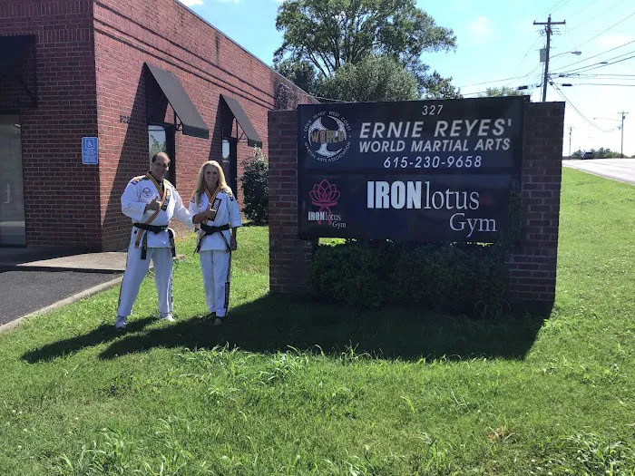 Ernie Reyes' World Martial Arts Picture 6