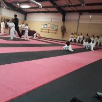 Song's Taekwondo ico