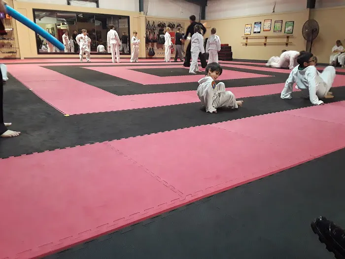 Song's Taekwondo Picture 2