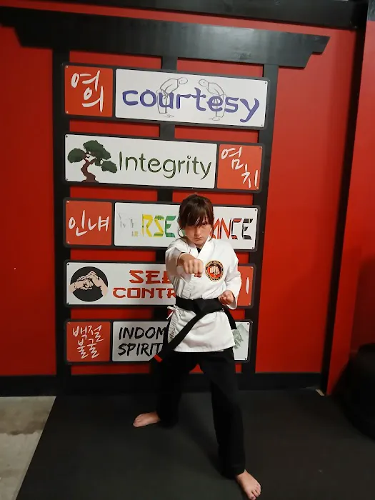 Song's Taekwondo Picture 3