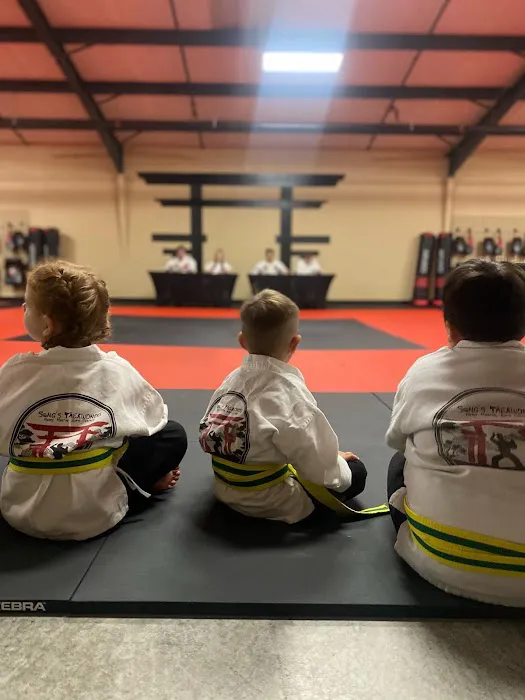 Song's Taekwondo Picture 9