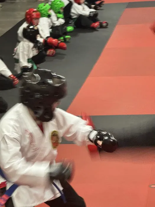 Song's Taekwondo Picture 4