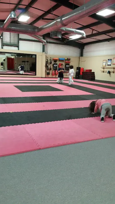 Song's Taekwondo Picture 7