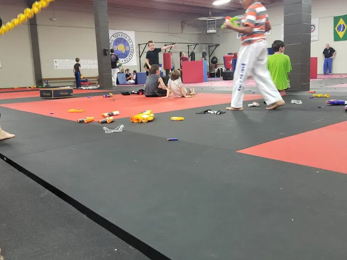 Global Martial Arts Center USA Picture 2