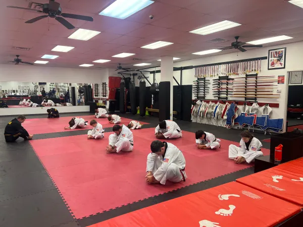 Global Martial Arts Center USA Picture 3