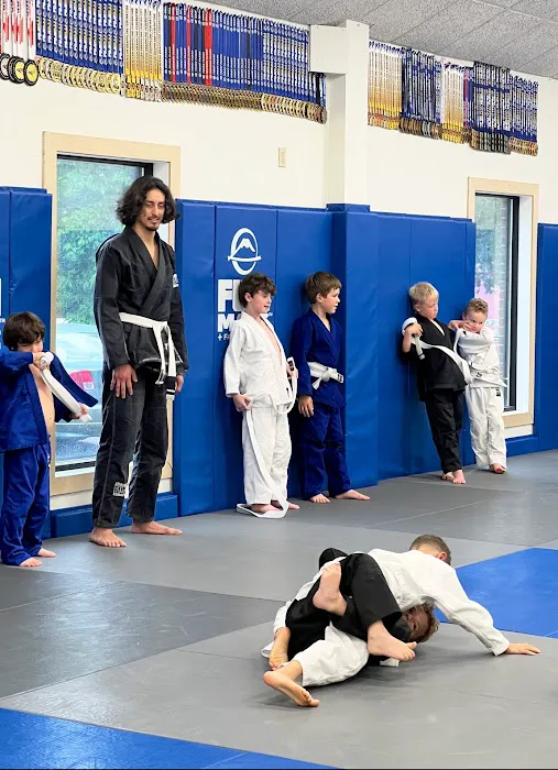 Triangle Academy of Jiu-Jitsu Picture 2