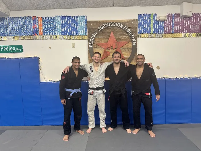 Triangle Academy of Jiu-Jitsu Picture 3