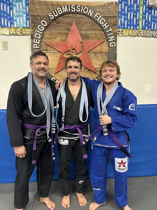 Triangle Academy of Jiu-Jitsu Picture 6
