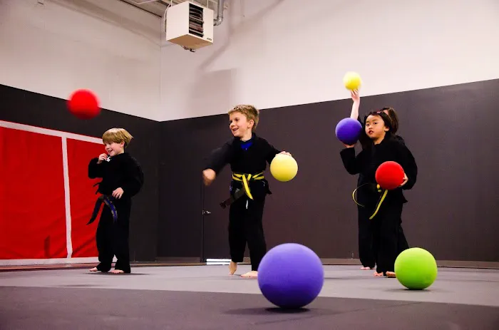 Family First Martial Arts Training Centers Picture 6