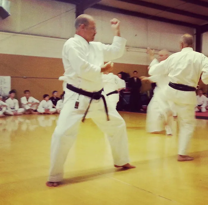 O'Riley Karate Centers, LLC Picture 10