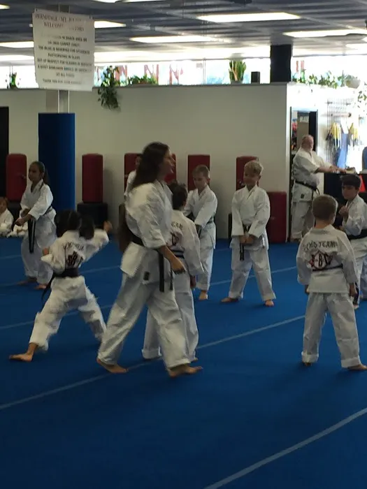Deaton Karate Studio Picture 5