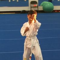 Deaton Karate Studio ico