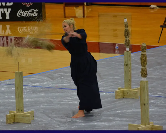 World Classic Martial Arts Picture 1