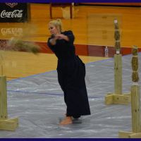 World Classic Martial Arts ico