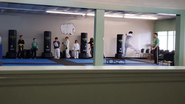 Premier Martial Arts Lebanon Picture 3