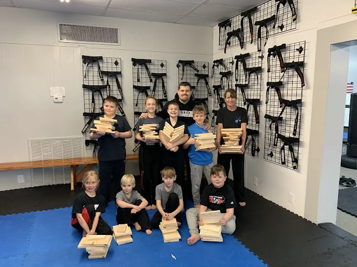 Premier Martial Arts Lebanon Picture 6