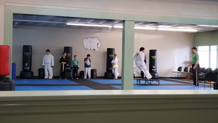 Premier Martial Arts Lebanon Picture 4