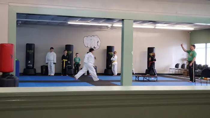 Premier Martial Arts Lebanon Picture 5