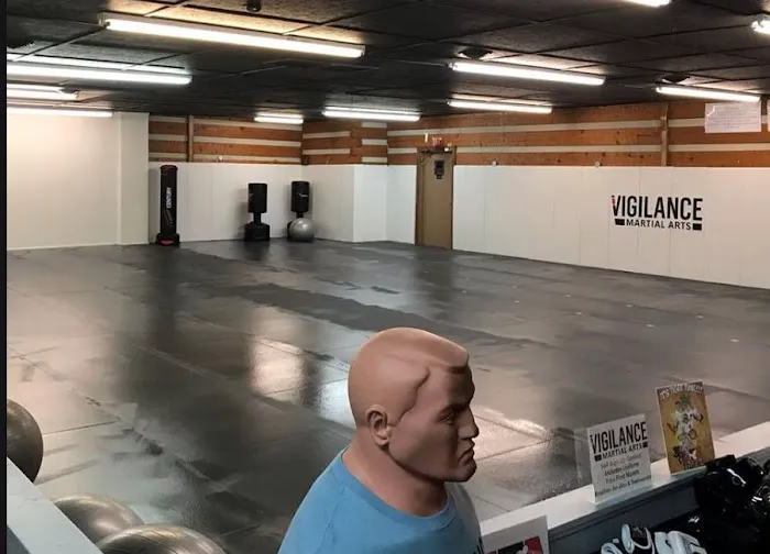 Vigilance Martial Arts Picture 6