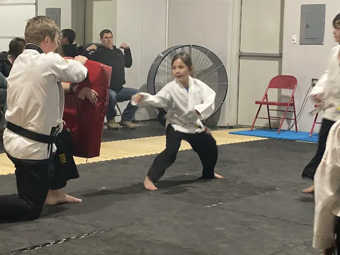 Tn Martial Arts Academy Picture 2