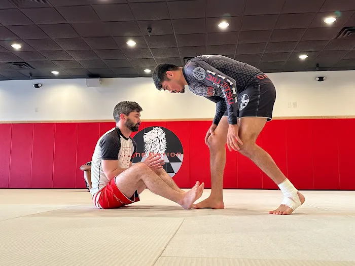 One Nation Jiu Jitsu Picture 6