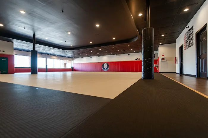 One Nation Jiu Jitsu Picture 7