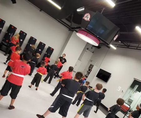 Tiger Rock Martial Arts of Franklin