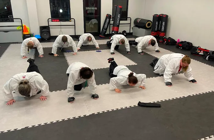 Tiger Rock Martial Arts of Franklin Picture 7