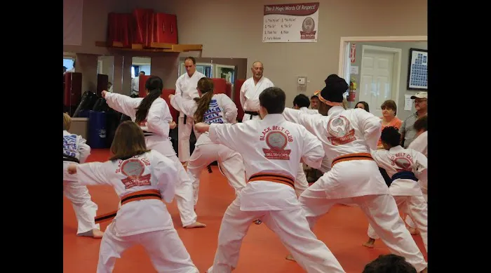 Bushido School of Karate Picture 5