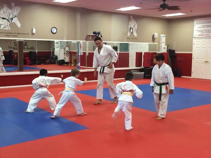 Bushido School of Karate Picture 10