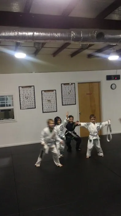 Tennessee BJJ Academy Murfreesboro Picture 1