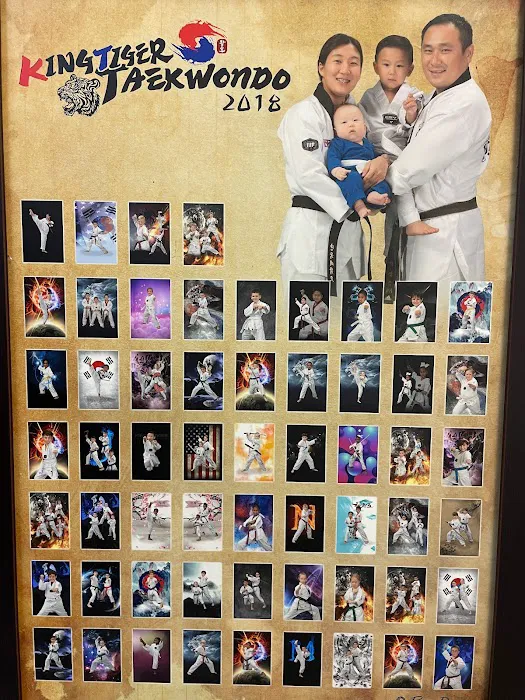 King Tiger Martial Arts Academy & After School Picture 6