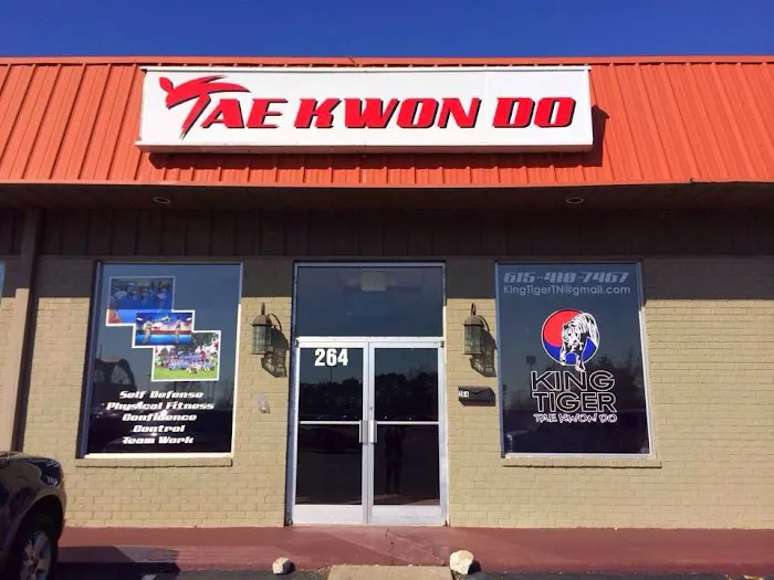 King Tiger Martial Arts Academy & After School Picture 7