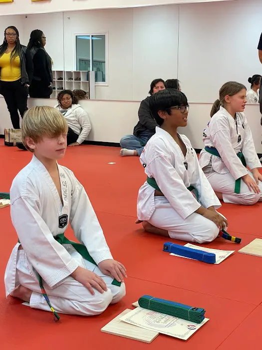 King Tiger Martial Arts Academy & After School Picture 5