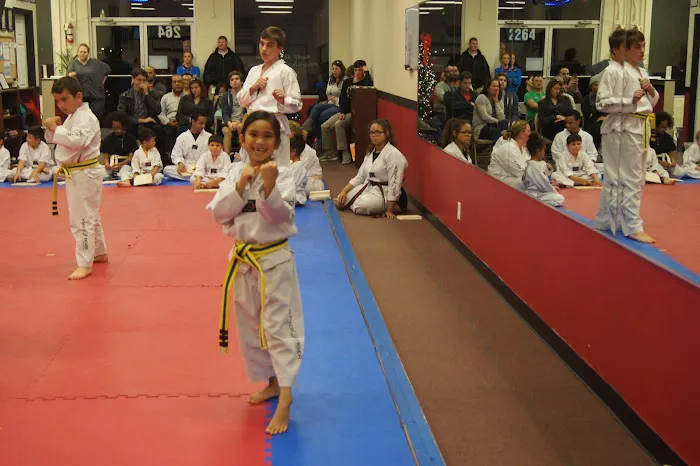 King Tiger Martial Arts Academy & After School Picture 9