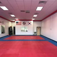 Red Tiger Martial Arts ico