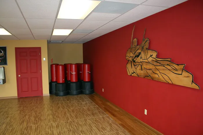 World Champion Jiu-Jitsu Picture 7