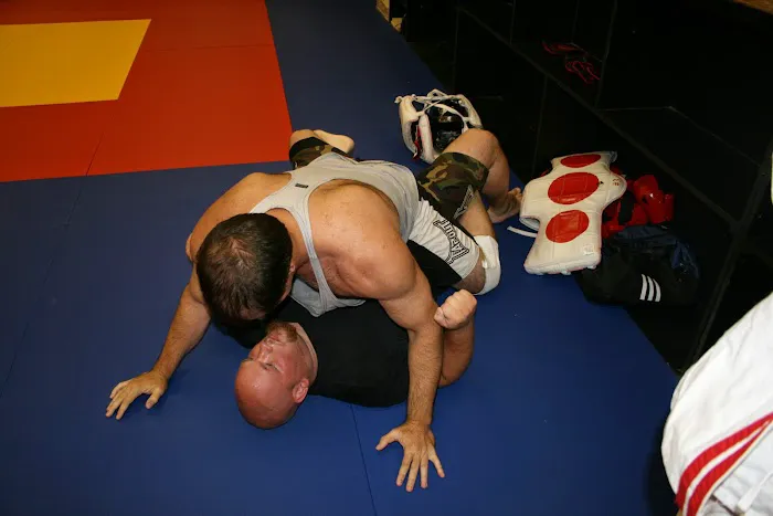 World Champion Jiu-Jitsu Picture 3