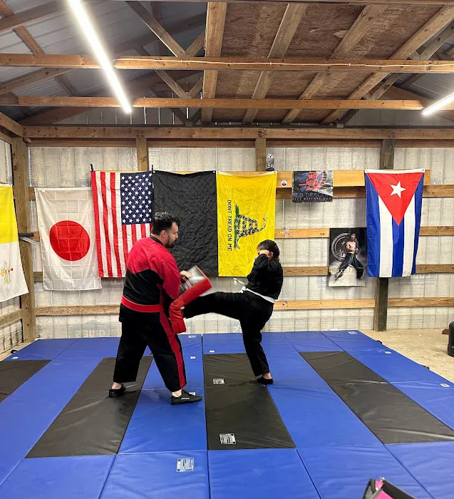 Red Dragon Self Defense USA Picture 5
