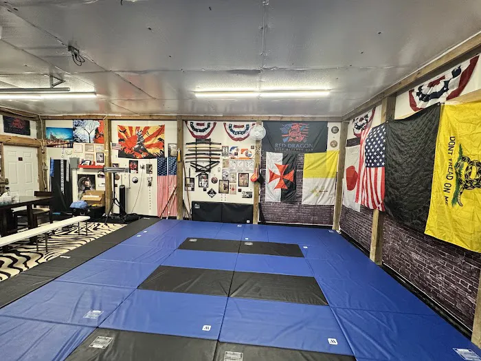 Red Dragon Self Defense USA Picture 2