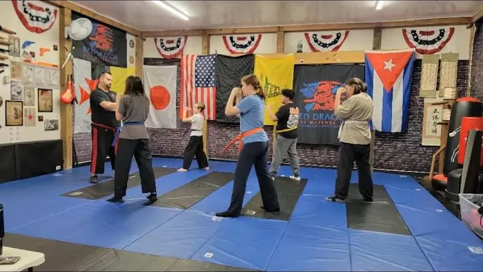 Red Dragon Self Defense USA Picture 7