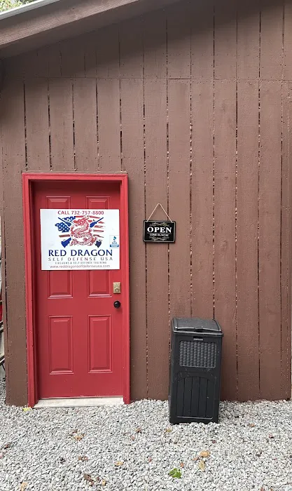 Red Dragon Self Defense USA Picture 8