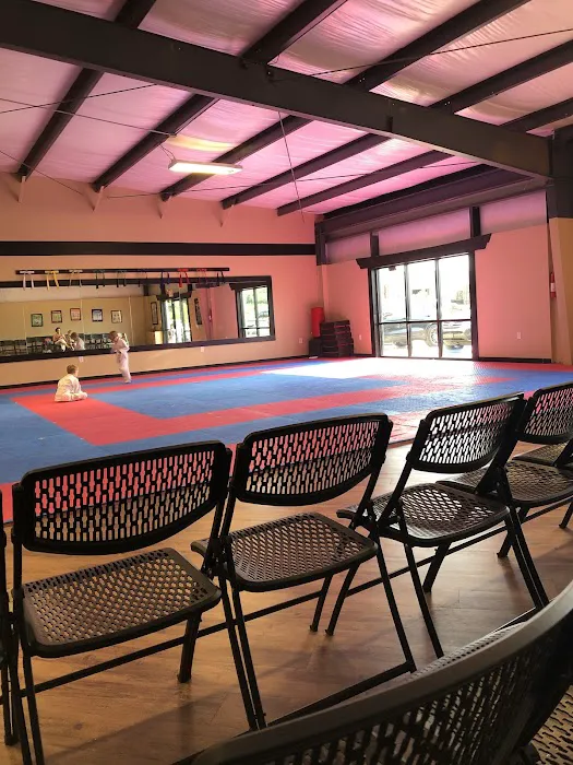 Song's TaeKwonDo Family Martial Arts Center - Clarksville TN Picture 10